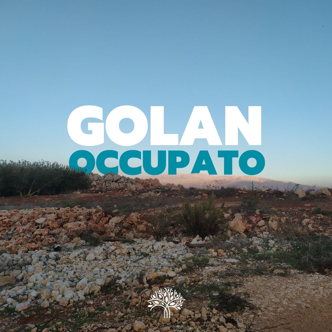 Scopri di più sull'articolo Golan Occupato