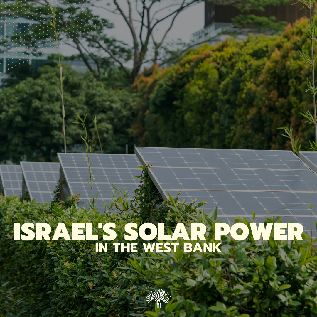 Read more about the article Israel’s Solar Power in the West Bank