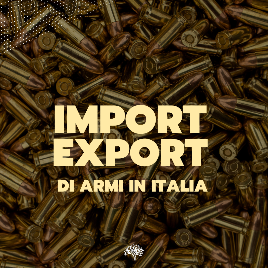 Al momento stai visualizzando Import/Export di armi in Italia